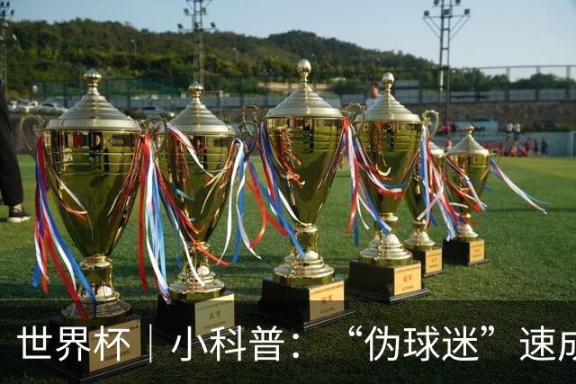 世界杯｜小科普：“伪球迷”速成手册